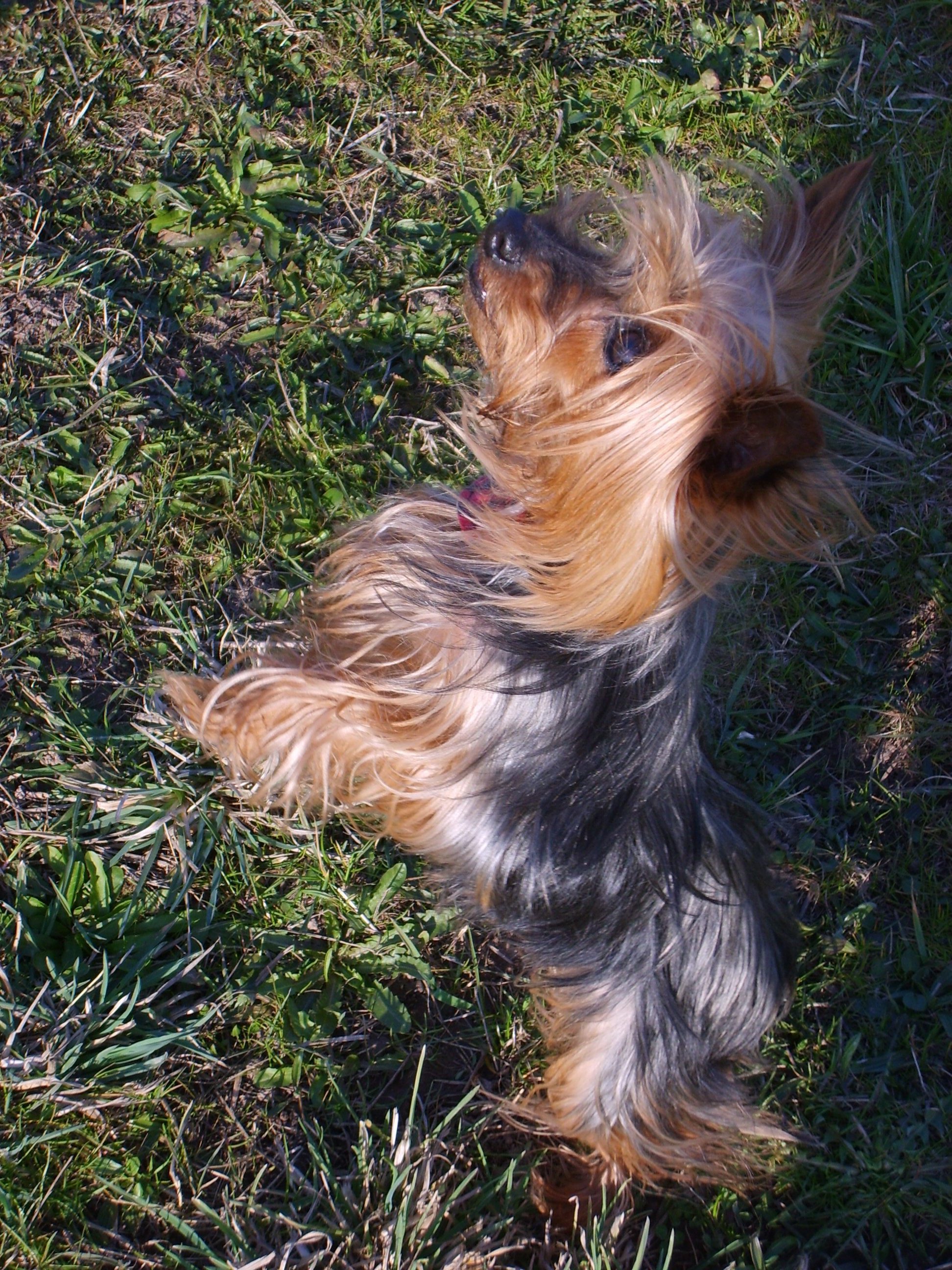 Sindy 096