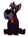 p76.gif