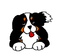 p77.gif
